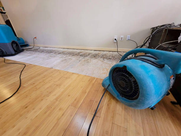 Professional Structural Drying technician working in Umbarger, TX